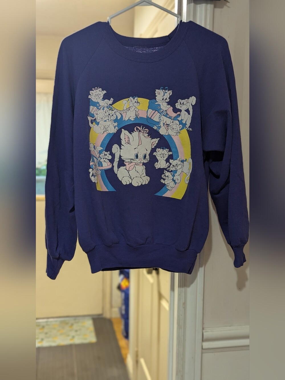Vintage Purple Cat Rainbow Graphic Sweatshirt